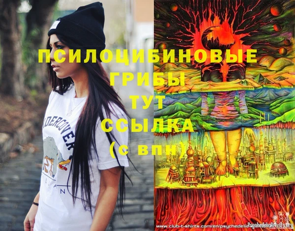 не бодяженный Алзамай